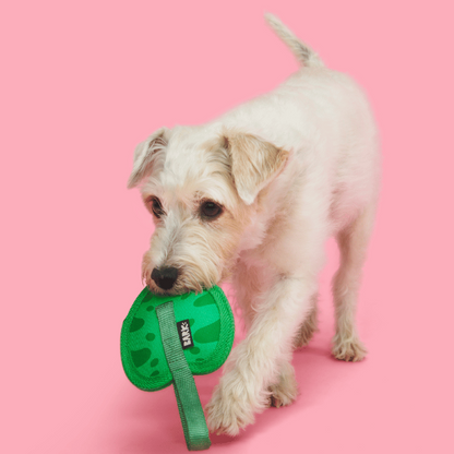 Bark Leaf Thrower Dog Toy