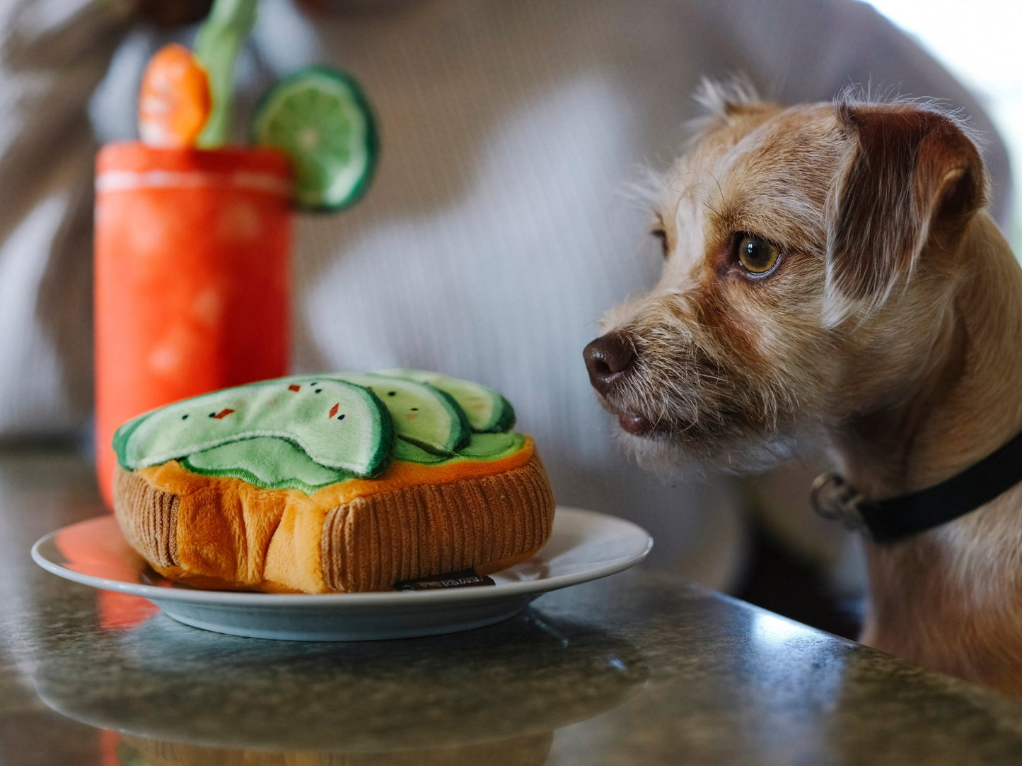 Barking Brunch Avo-Doggo Toast Plush Dog Toy - Pet Supplier Store