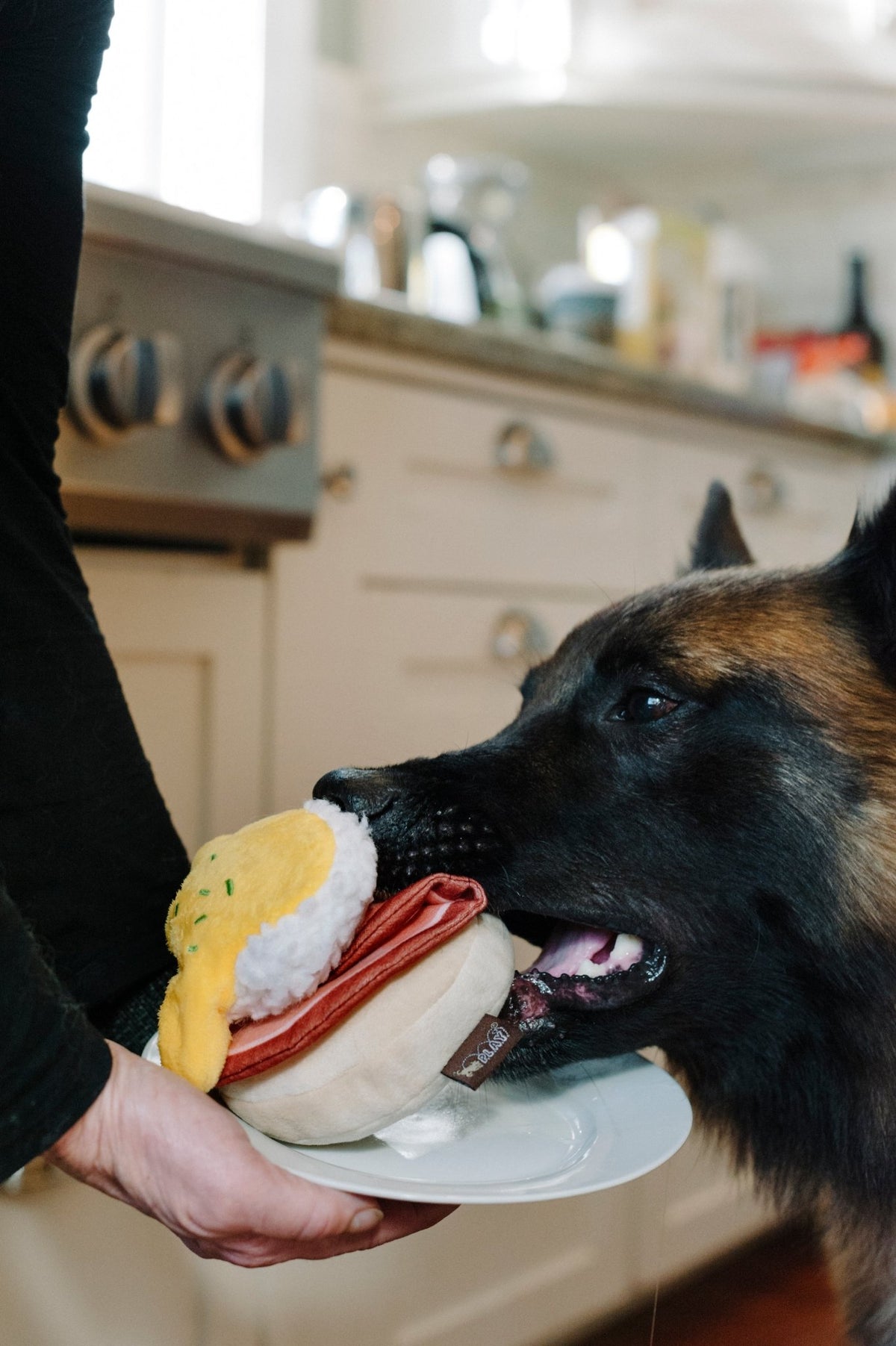 Barking Brunch Bennys Benedict Plush Dog Toy - Pet Supplier Store
