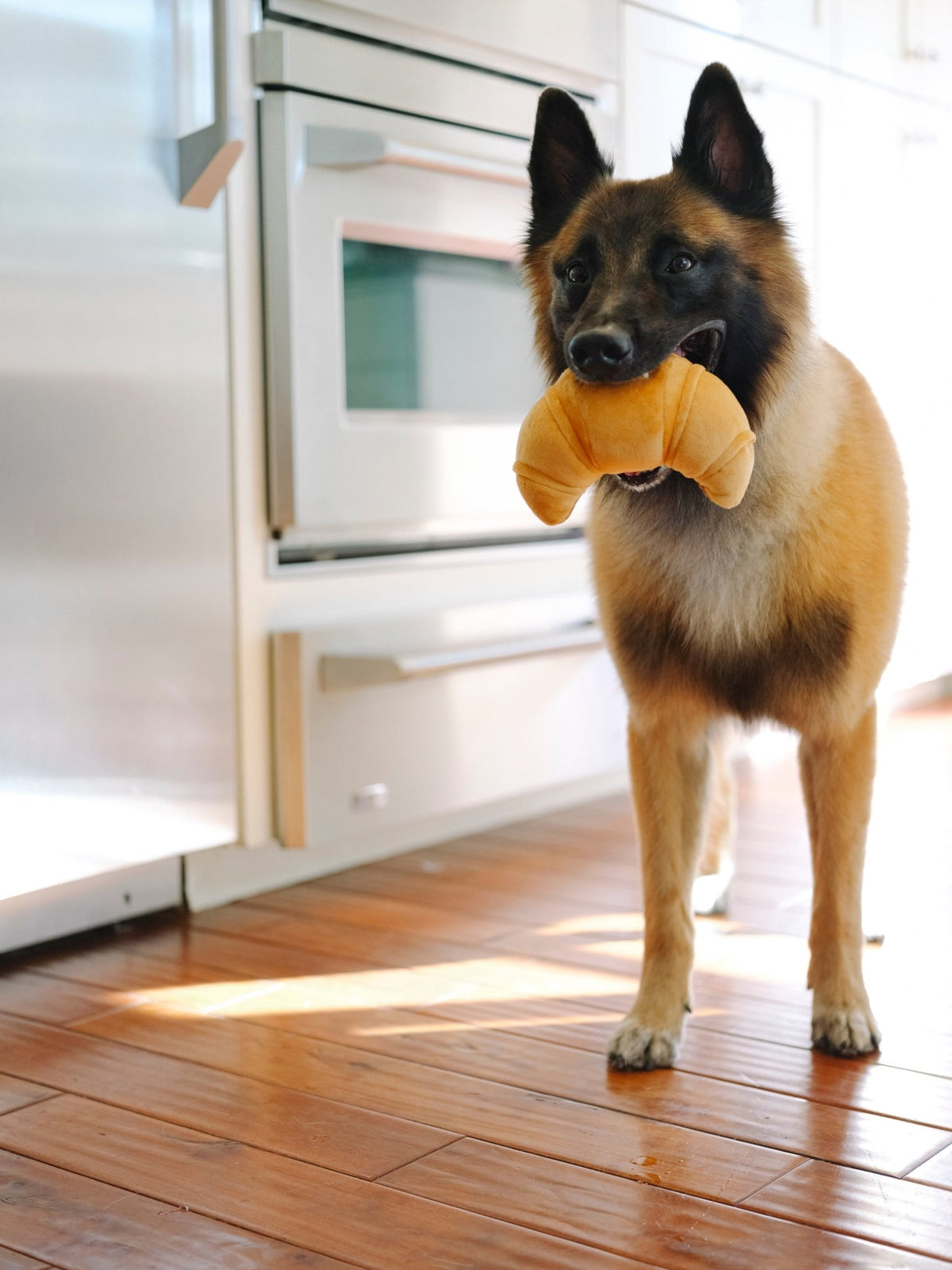 Barking Brunch Pup's Croissant Plush Dog Toy - Pet Supplier Store