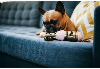 Barking Bubbly Muttscato - Pet Supplier Store