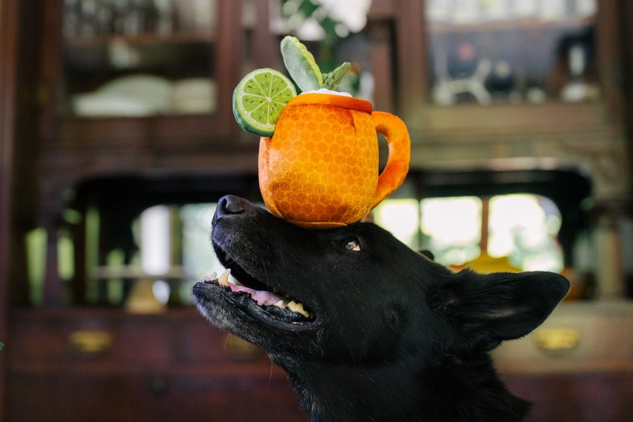 Barktender - Mospaw Mule - Pet Supplier Store