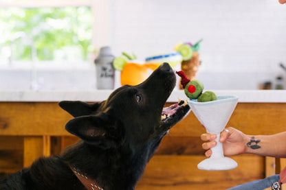 Barktender - Pawtini - Pet Supplier Store