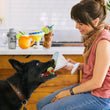 Barktender - Pawtini - Pet Supplier Store