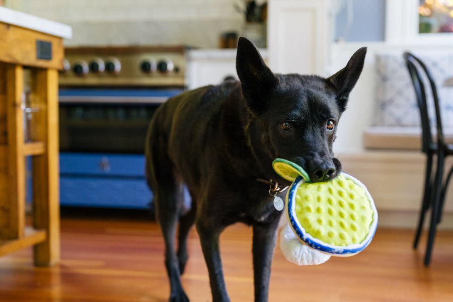 Barktender - Pup-arita - Pet Supplier Store