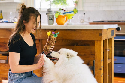 Barktender - Tiki Time - Pet Supplier Store
