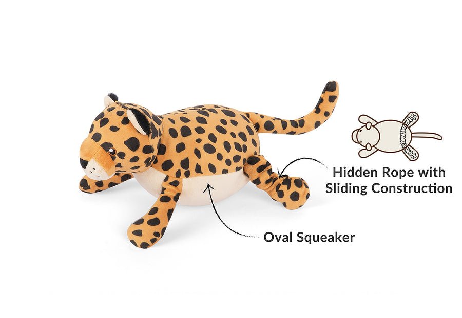 Big Five of Africa - Leopard - Pet Supplier Store