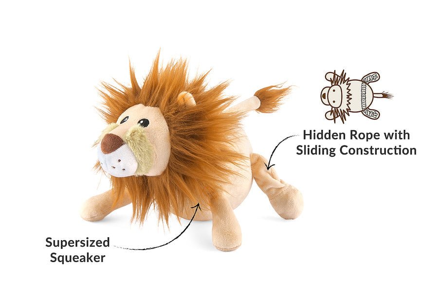 Big Five of Africa - Lion - Pet Supplier Store