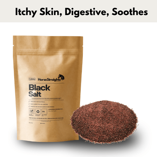 Black Salt - Pet Supplier Store