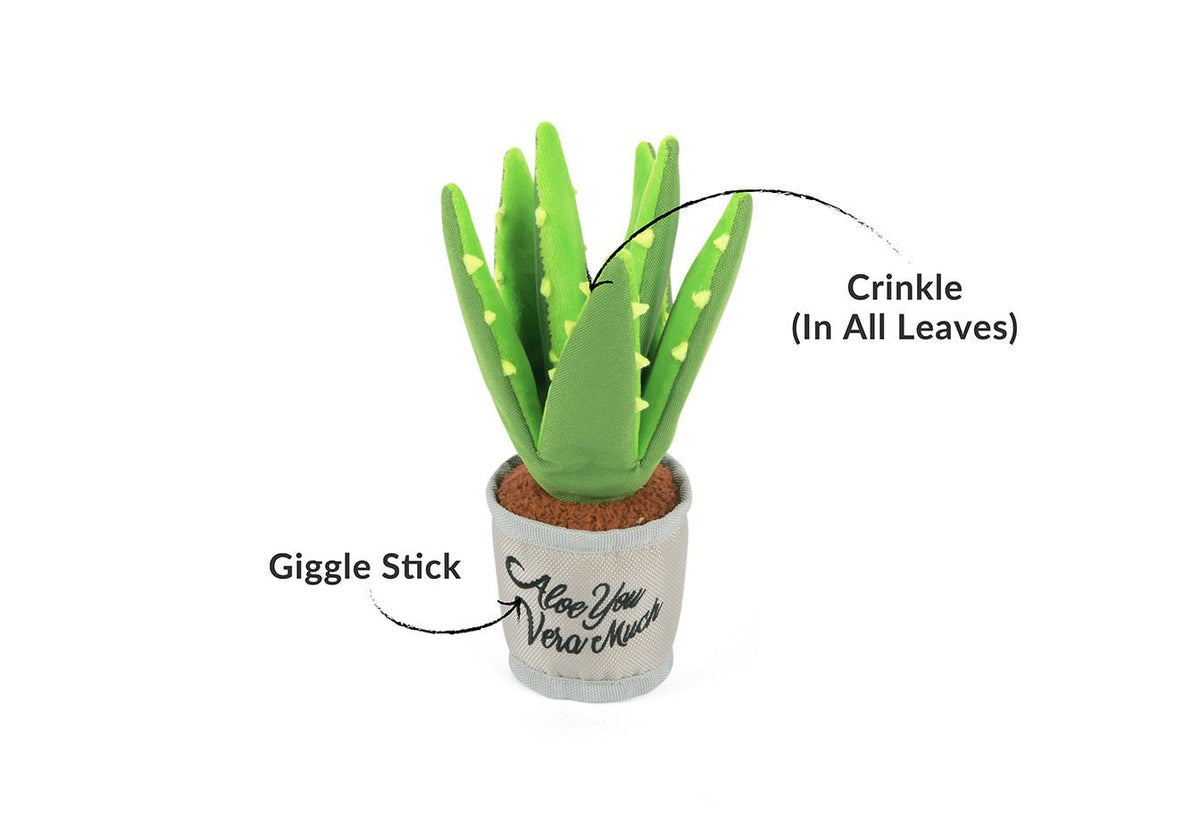 Blooming Buddies Aloe-ve You Plant - Pet Supplier Store