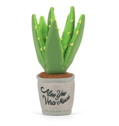 Blooming Buddies Aloe-ve You Plant - Pet Supplier Store