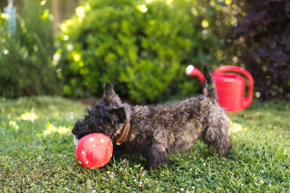 Blooming Buddies Mutt Mushroom - Pet Supplier Store