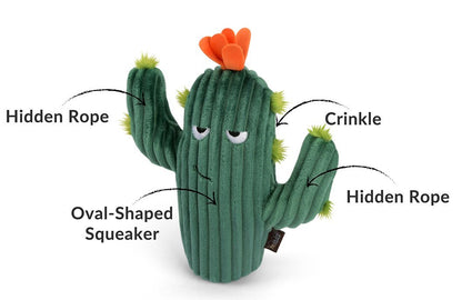 Blooming Buddies Prickly Pup Cactus - Pet Supplier Store