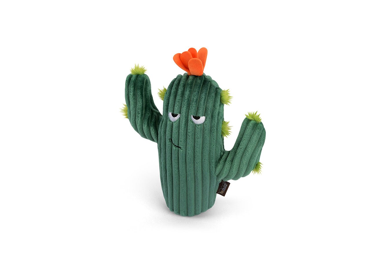 Blooming Buddies Prickly Pup Cactus - Pet Supplier Store