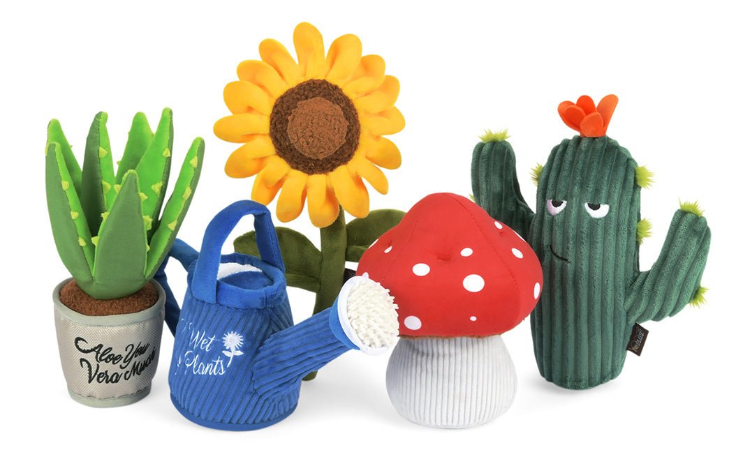 Blooming Buddies Prickly Pup Cactus - Pet Supplier Store
