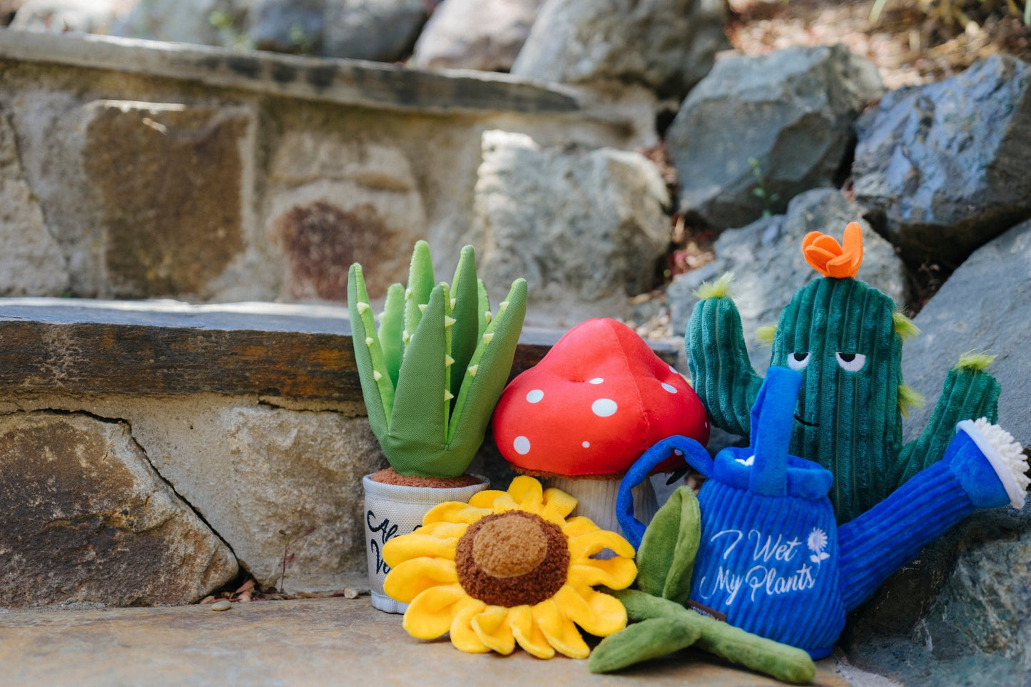 Blooming Buddies Prickly Pup Cactus - Pet Supplier Store