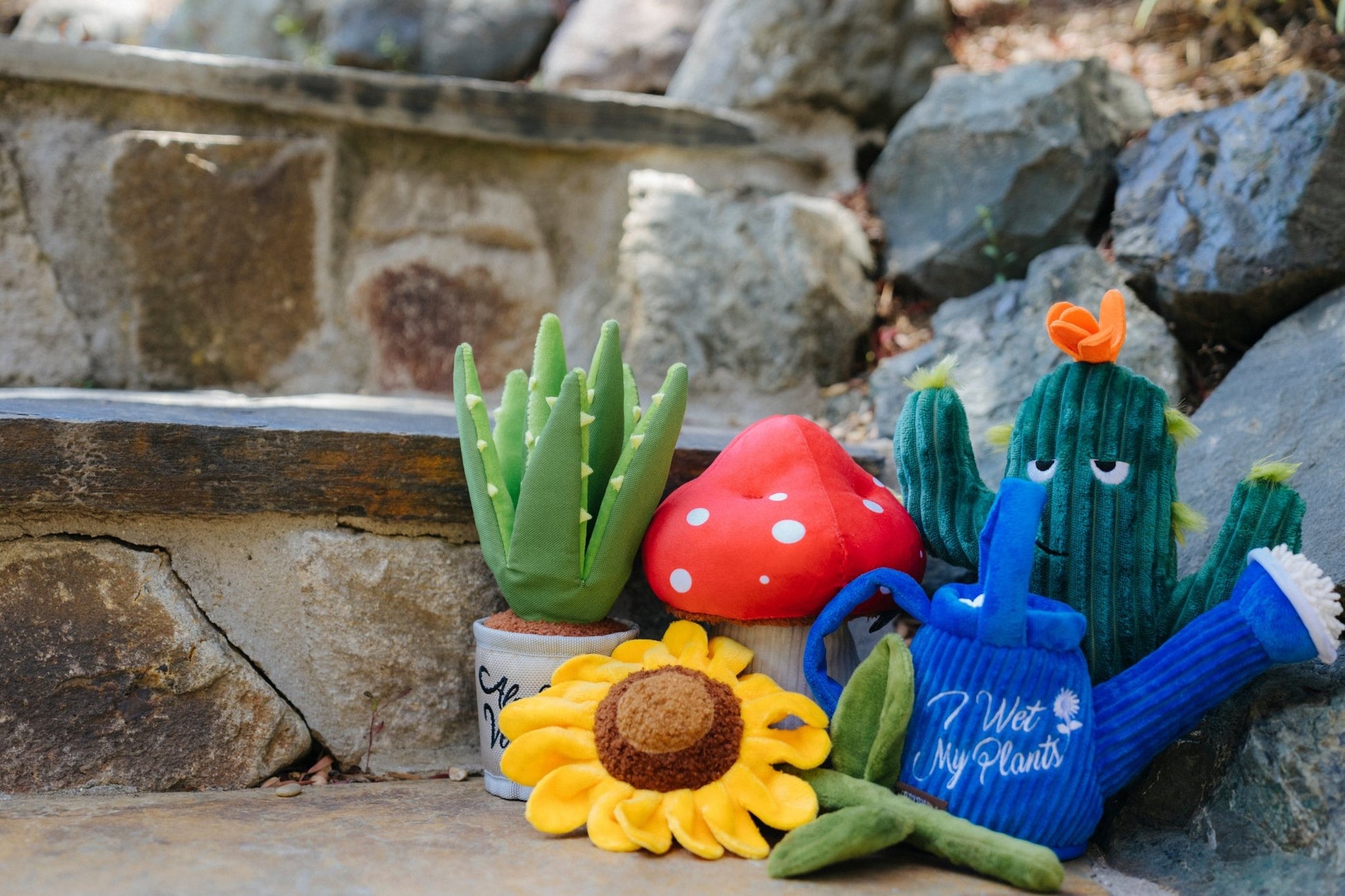 Blooming Buddies Prickly Pup Cactus - Pet Supplier Store