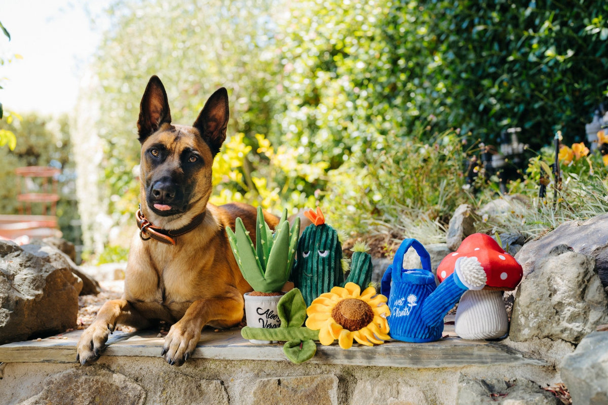 Blooming Buddies Wagging Watering Can - Pet Supplier Store
