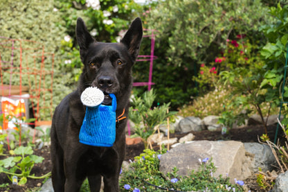 Blooming Buddies Wagging Watering Can - Pet Supplier Store