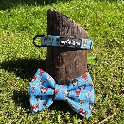 Blue Chihuahua Print Exclusive Designer Bow Tie by My Chi and Me - Pet Supplier Store