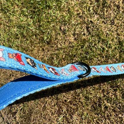 Blue Chihuahua Print Exclusive Lead by My Chi and Me - Pet Supplier Store