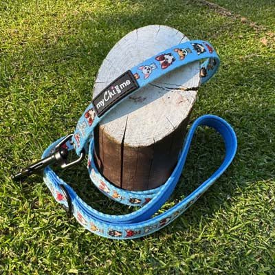 Blue Chihuahua Print Exclusive Lead by My Chi and Me - Pet Supplier Store