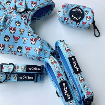 Blue Chihuahua Print Exclusive Small Dog Harness by My Chi and Me - Pet Supplier Store