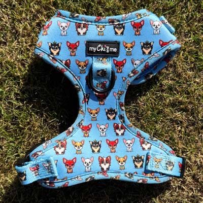 Blue Chihuahua Print Exclusive Small Dog Harness by My Chi and Me - Pet Supplier Store
