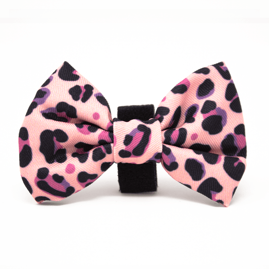 Blushing Leopard Bow Tie - Pet Supplier Store