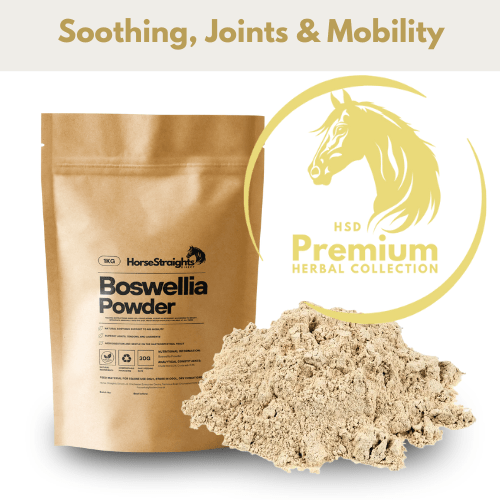Boswellia Powder - Pet Supplier Store