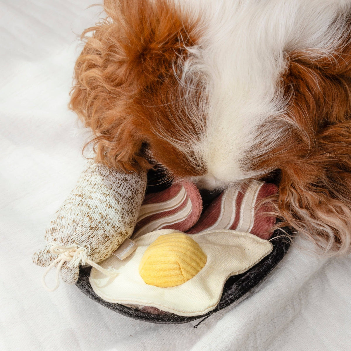 Breakfast Set enrichment dog toy - Pet Supplier Store