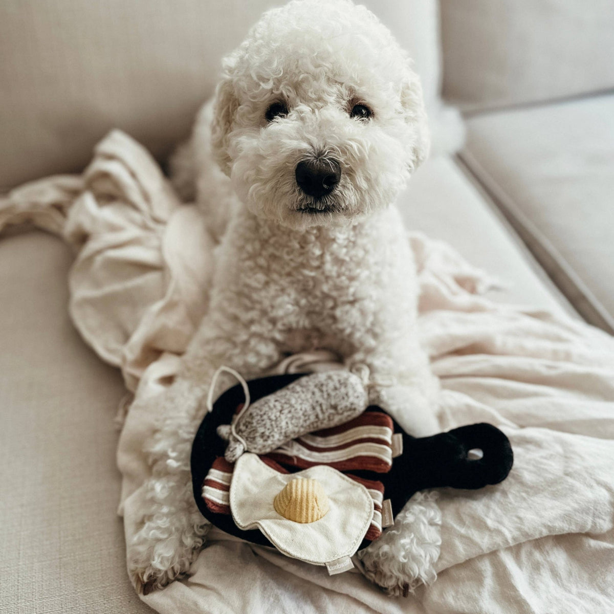 Breakfast Set enrichment dog toy - Pet Supplier Store