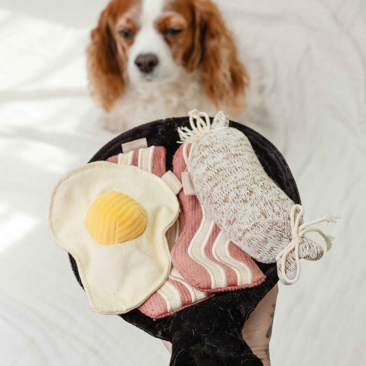 Breakfast Set enrichment dog toy - Pet Supplier Store