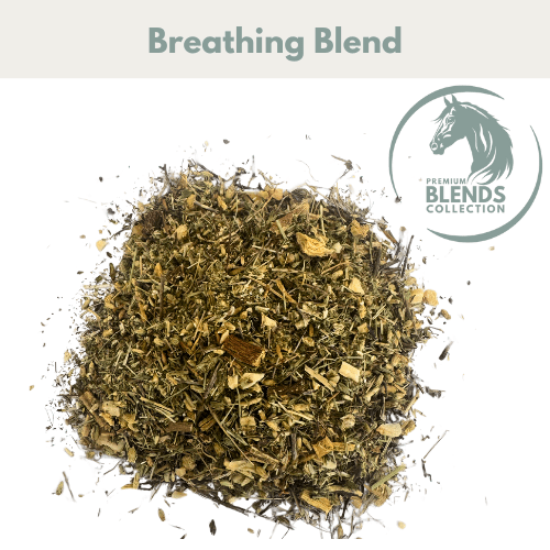 Breathing Blend - Pet Supplier Store