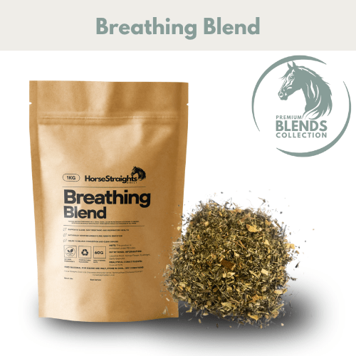 Breathing Blend - Pet Supplier Store