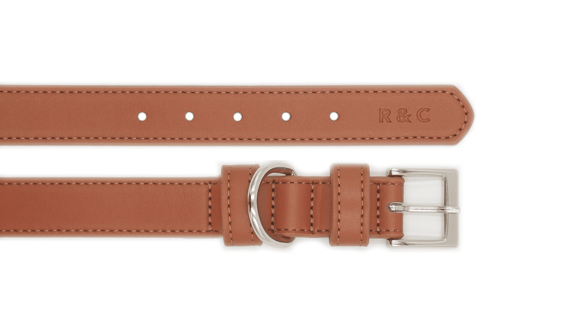Brown Leather Dog Collar - Pet Supplier Store
