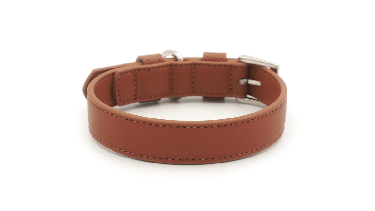 Brown Leather Dog Collar - Pet Supplier Store