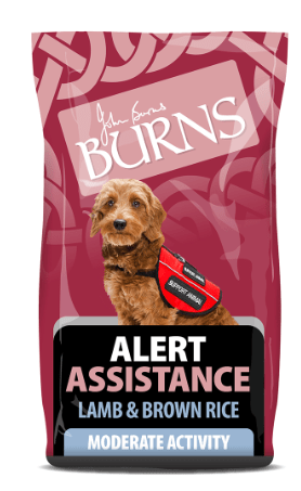 Burns Alert Lamb - Pet Supplier Store