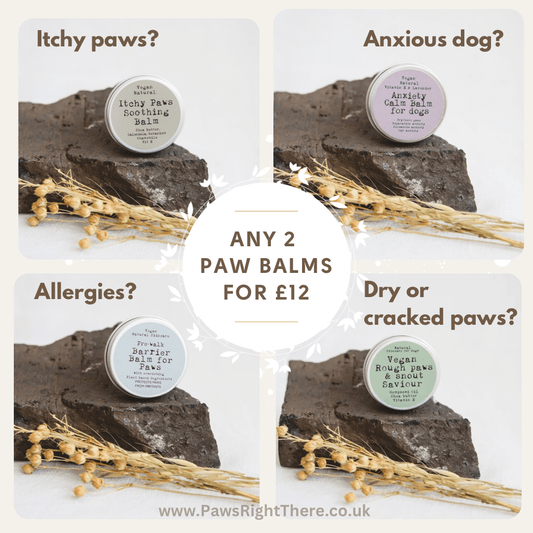CALM & CARE Paw Balm For Dogs - Pet Supplier Store