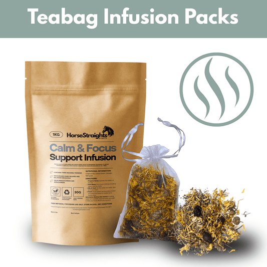 Calm & Focus Infusion (Reusable Teabags) - Pet Supplier Store