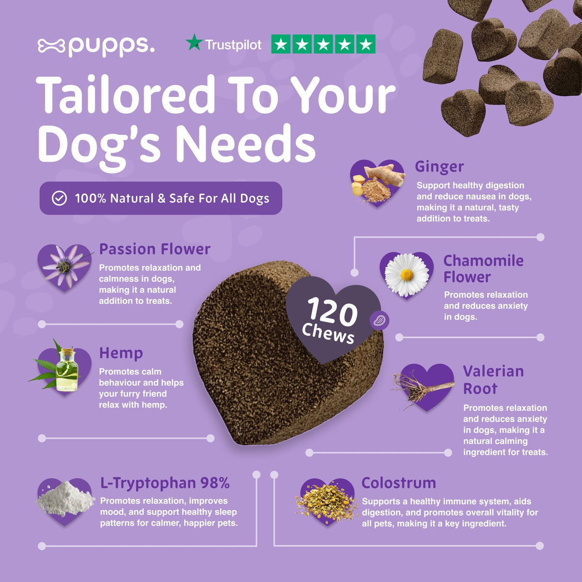 Calming Treats - Pet Supplier Store