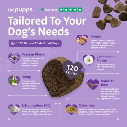 Calming Treats - Pet Supplier Store