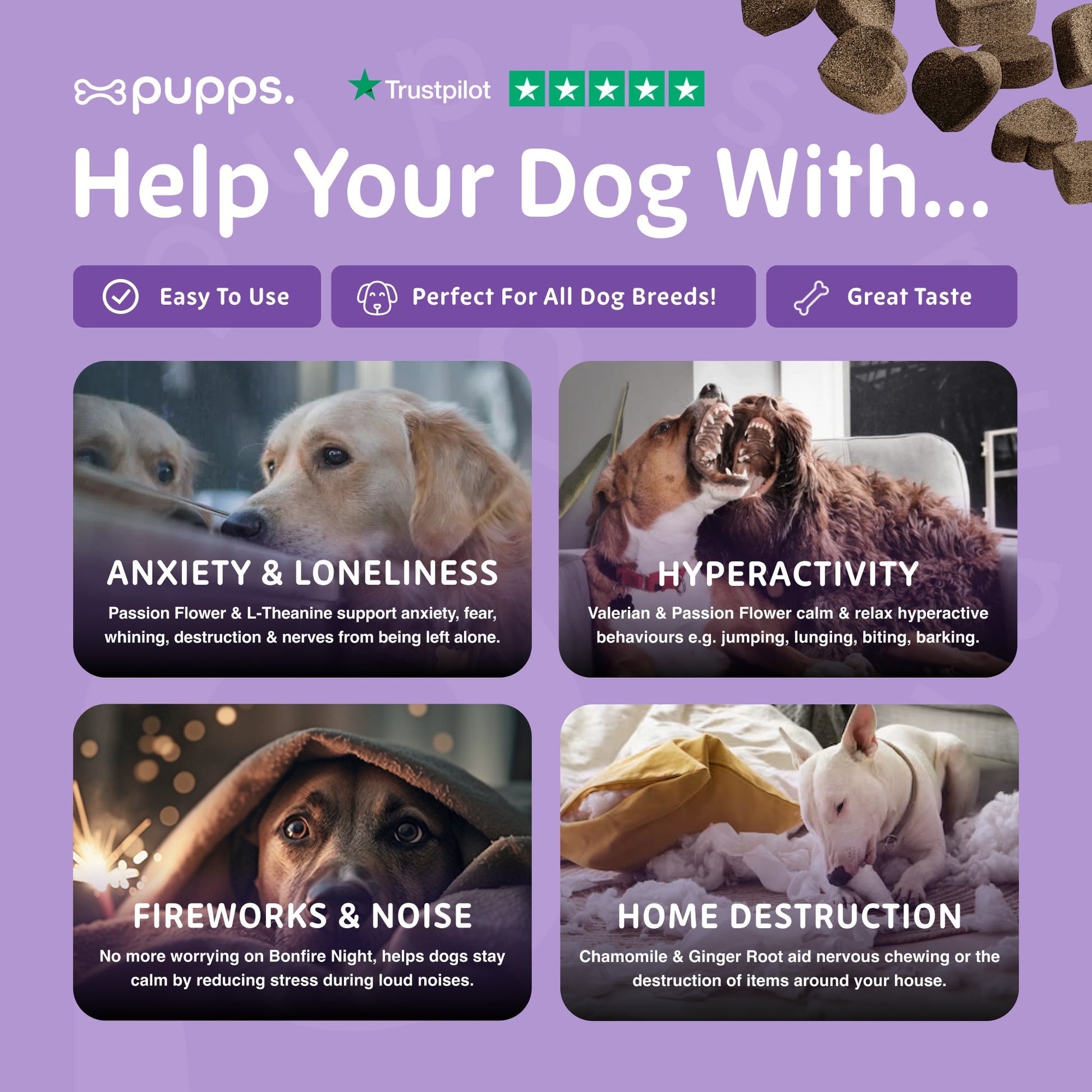 Calming Treats - Pet Supplier Store