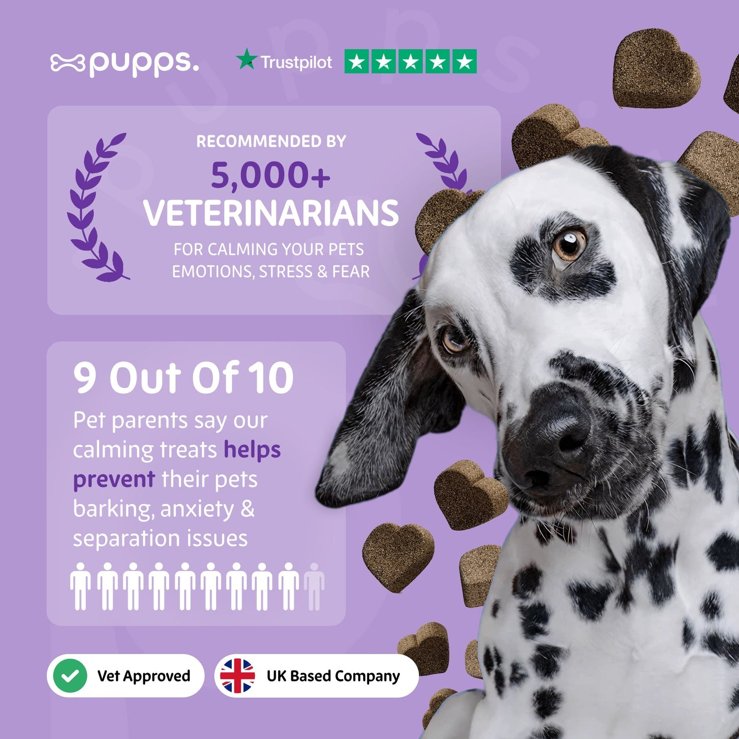Calming Treats - Pet Supplier Store