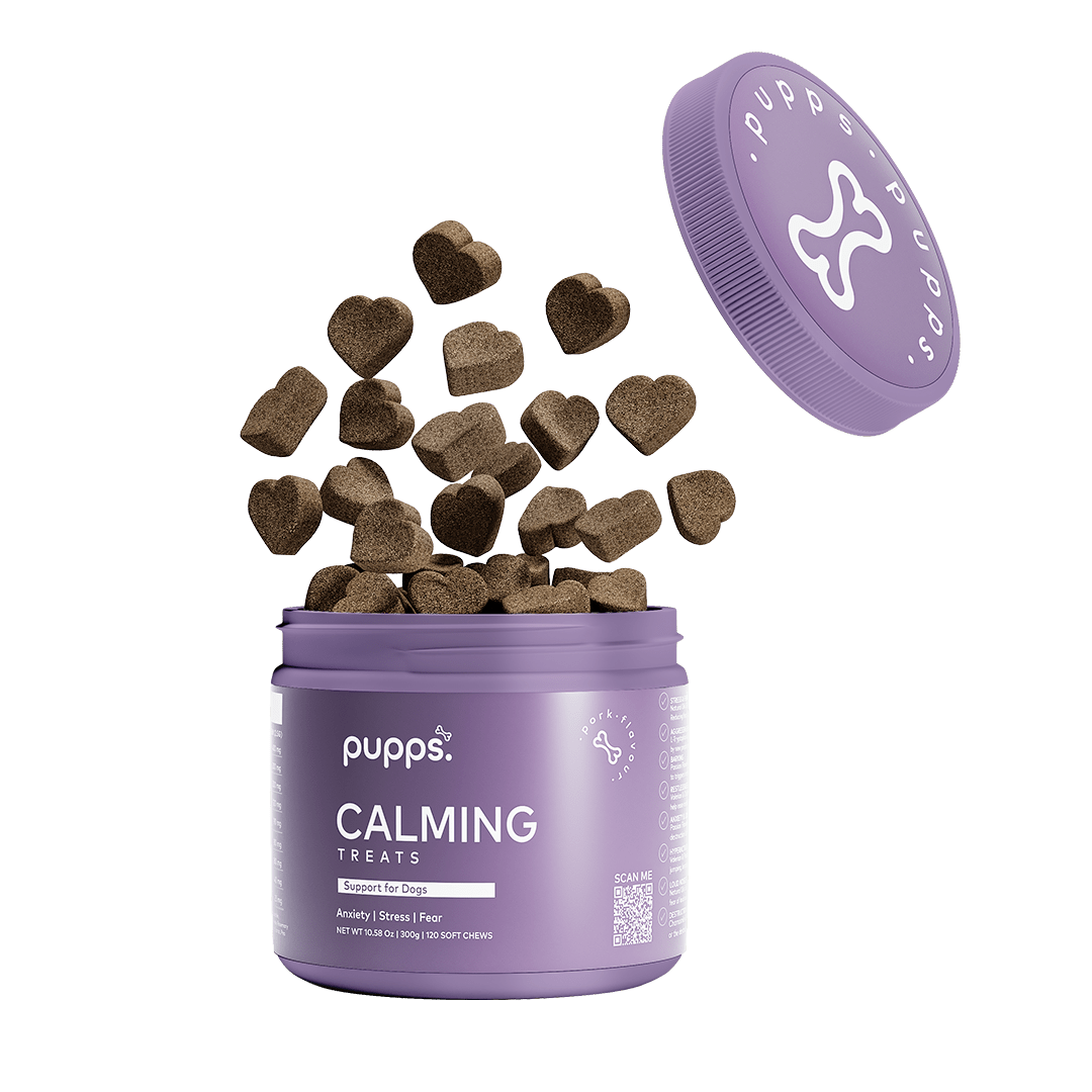 Calming Treats - Pet Supplier Store