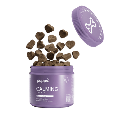 Calming Treats - Pet Supplier Store