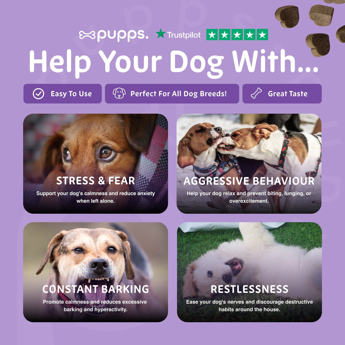 Calming Treats - Pet Supplier Store