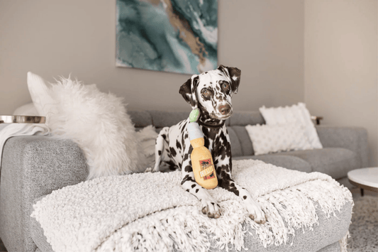 Canine Cerveza dog toy - Pet Supplier Store