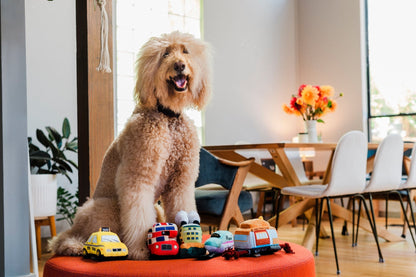 Canine Commute Express Train - Pet Supplier Store