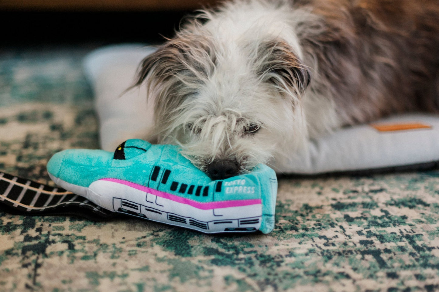 Canine Commute Express Train - Pet Supplier Store